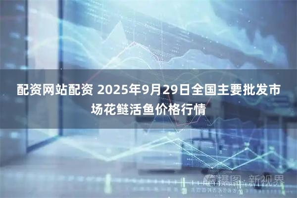 配资网站配资 2025年9月29日全国主要批发市场花鲢活鱼价格行情